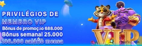 Programa VIP Ppp5 - benefícios exclusivos